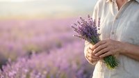 Person holding fresh lavender bunch in blooming field at sunset, wearing light linen shirt. Harvest, nature, and wellness concept for design use.