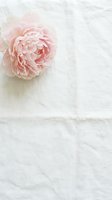 Delicate pink peony bloom resting on white linen fabric, offering ample negative space for text overlay and design elements. Perfect for wedding invitations, greeting cards, and lifestyle branding projects.