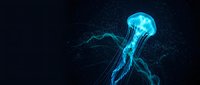 Luminous blue jellyfish floating gracefully through dark ocean waters with glowing tentacles and bioluminescent particles creating magical underwater scene.