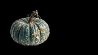 Textured blue-green pumpkin with stem isolated on transparent background, ready for t-shirt designs, clipart, stickers, print-on-demand products, and sublimation projects.
