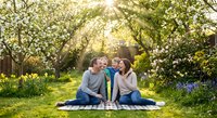 Young Caucasian couple enjoying romantic picnic under blooming apple trees in spring garden with sunlight filtering through branches creating magical atmosphere.
