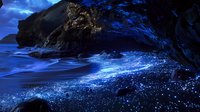 Magical blue bioluminescent waves crash against dark rocky coastline creating ethereal glowing water effect on beach at night for fantasy ocean backgrounds.