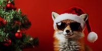 Cool fox wearing sunglasses and Santa hat near decorated Christmas tree with red baubles against red background, festive holiday concept for greeting cards.
