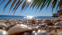 Seashells and starfish scattered on tropical beach with palm fronds overhead, sun flare and sparkling ocean waves create serene summer atmosphere.