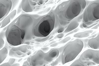 Microscopic view of porous organic material structure showing interconnected cavities and holes in white and gray tones, suitable for scientific visualization.