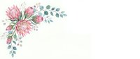 Watercolor pink protea flowers with eucalyptus leaves on isolated white background, ready for wedding invitations, greeting cards, and design projects.