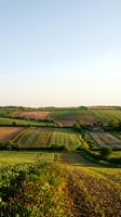 Aerial view of rolling agricultural fields with patchwork crop patterns, green vegetation, and plowed earth creating natural geometric divisions across rural farmland landscape.