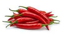 Fresh red chili peppers isolated on white background for cooking spice ingredient culinary design hot sauce recipe food preparation kitchen use.