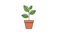 Young green plant growing in terracotta pot isolated on white background for eco-friendly designs and gardening projects.