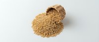 Dried instant noodles isolated on white background, ready for food packaging, cooking blogs, restaurant menus, and culinary design projects.