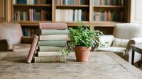 Stack of vintage books with potted plant on wooden table in home library with bookshelves and armchair, interior design and reading space.