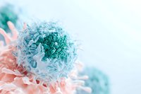 Microscopic view of immune cell with teal nucleus and coral cytoplasm on light background, useful for medical publications.
