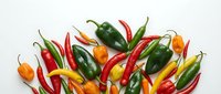 Colorful assortment of fresh hot chili peppers in red, green, yellow and orange on white background, top view.