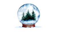Watercolor snow globe with green pine trees inside on wooden base, winter scene with falling snow and magical atmosphere against white background.
