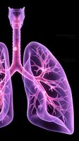 Human lungs and trachea anatomy with bronchial tree structure in purple translucent medical visualization on black background for healthcare education.