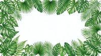 Tropical green palm leaves and monstera foliage frame border on white background for summer design projects and natural botanical decorations.