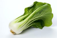 Fresh bok choy cabbage isolated on white background, perfect for healthy eating, cooking, and food photography projects, showing crisp green leaves and white stem.