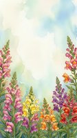 Watercolor snapdragon garden border with colorful blooms in pink, purple, yellow and orange on soft pastel background with copy space.