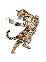 Playful spotted ocelot or serval kitten jumping and batting at colorful feather toy on white background. Isolated feline character for design, clipart, and children's content.