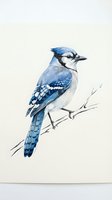 Blue jay bird perched on branch watercolor painting isolated on white background for nature artwork and wildlife designs.