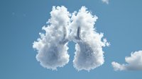Cloud formation shaped as human lungs against bright blue sky background, representing breath, health and environmental concept for medical presentations.