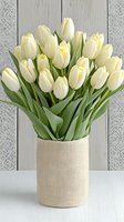 Fresh cream white tulips arranged in natural linen vase against rustic wooden wall with damask pattern. Elegant spring floral composition for home decor.