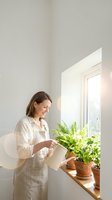 Middle-aged Caucasian woman in linen apron watering houseplants with metal can by sunny window in minimalist white interior for home gardening content.