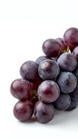 Fresh purple grapes cluster isolated on white background for healthy eating and nutrition concepts.