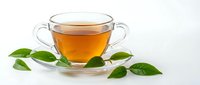 Glass cup of amber tea with fresh green leaves on white background for healthy beverage and wellness concepts.
