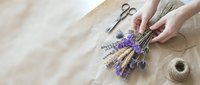 Hands holding dried lavender bundles with scissors and twine on neutral fabric background for craft and floral design projects.