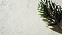 Palm leaf casting natural shadow on textured beige wall, minimalist tropical composition with dramatic lighting and copy space for text.