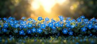 Small blue flowers blooming in garden with warm golden sunlight creating bokeh effect in background during spring season for nature photography.