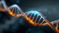 Glowing DNA strand with orange and blue illuminated helix structure on dark background, genetic research concept for medical and scientific visualization.