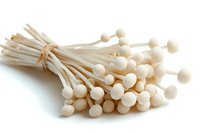 Fresh enoki mushrooms bunch tied with natural twine on white background, raw organic Japanese fungi for Asian cuisine and healthy cooking.