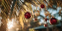 Festive red and gold Christmas ornaments hanging from palm tree fronds, creating a tropical holiday atmosphere in warm climate celebration.
