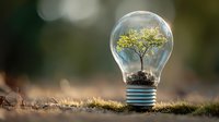 Green tree growing inside light bulb on natural background, symbolizing environmental conservation, renewable energy, and sustainable innovation.