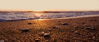 Close-up of sandy beach at sunset with golden light reflecting on wet sand and small pebbles, ocean waves in soft focus background, ideal for travel and nature designs.