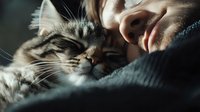 Close-up of young woman cuddling with sleepy Maine Coon cat on soft blanket, showing tender bonding moment in natural window light, cozy lifestyle.