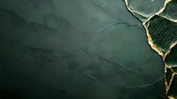 Elegant dark green marble surface with golden veins and natural stone texture for luxury interior design and sophisticated backgrounds.