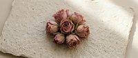 Dried pink roses arranged in circular pattern on vintage lace fabric creating romantic floral composition for wedding invitations and feminine design projects.