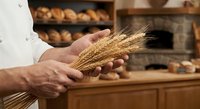 Professional baker holding golden wheat stalks in artisan bakery with fresh bread loaves on wooden shelves in background for organic baking concepts.