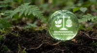 Glass sphere with environmental justice scales symbol resting on forest soil among green ferns, representing sustainability and ecological balance concepts.