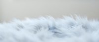 Close-up of soft white and gray feathers with delicate texture, suitable for backgrounds, wellness, comfort, and nature-themed designs.