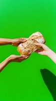 Diverse hands breaking fresh artisanal sourdough bread against vibrant green background, showing texture and crust of homemade loaf. Food sharing concept.