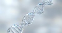 Crystal clear DNA double helix structure with transparent molecular bonds against soft cloudy background for scientific research and biotechnology concepts.