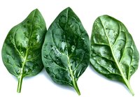 Fresh spinach leaves with water droplets arranged in row on white background, showcasing vibrant green color and natural texture.