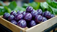 Fresh purple potatoes in wooden box with green herbs, macro food photography showing vibrant color and texture of organic farm vegetables.