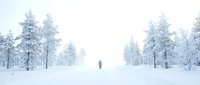 Solitary figure standing in snowy forest landscape with frost-covered evergreen trees, winter wilderness scene suitable for travel, nature, and seasonal marketing materials.