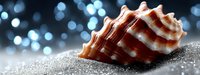 Striped seashell on silver glitter sand against dark blue bokeh background, macro photography with shallow depth of field and dreamy atmosphere.