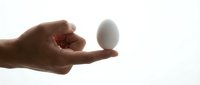 Caucasian male hand holding white egg isolated on white background, suitable for nutrition, food, cooking, and health-related design projects.